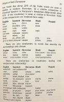 【英語洋書】 インド・ヨーロッパ語族の起源 『Origin of Indo-Europeans』