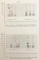 【ドイツ語・スロベニア語洋書】 スロベニア語のアクセント研究：ケルンテン地方のスロベニア方言資料に基づく音響学的および言語学的調査：本文中に図版6枚・図表76点 『Slowenische Akzentstudien : Akustische und linguistische Untersuchungen am Material slowenischer Mundarten aus Kärnten : Mit 46 Abbildungen und 76 Figuren im Text』