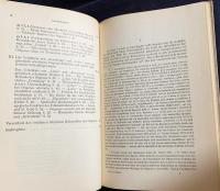 ドイツ語洋書 オリゲネス教義学の原初的な意味 【Der ursprüngliche Sinn der Dogmatik des Origenes】