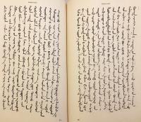 【ドイツ語洋書 / シリーズ全2冊揃い】 モンゴル人の家族と宗教の歴史シリーズ 『Die Familien- und Kirchengeschichtsschreibung der Mongolen』