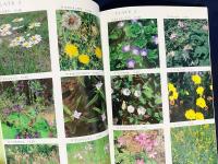 津市の帰化植物 : 国際交流の落とし子