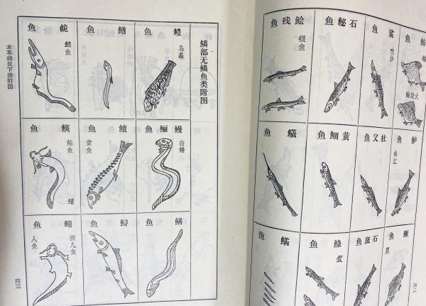 中文書 本草綱目 : 校点本 上下全2冊揃((明)李時珍=著) / 古本、中古本