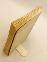 【ラテン語洋書】 学校用 聖書講義：新約聖書 『Praelectiones biblicae ad usum scholarum : Novum Testamentum』