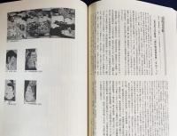 近世絵画研究 : 大和文華館所蔵品を中心に