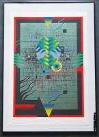 黒崎彰 大判木版画『迷彩譜1(Camouflaged World )』W233 限定50部