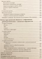 【ロシア語洋書】 スラヴ人と古ルーシ人：歴史考古学的研究 『Славяне ; Древнерусская народность』