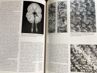 英語洋書 絹が黄金だった時代：中央アジアと中国の織物 【When Silk Was Gold: Central Asian and Chinese Textiles】