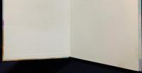 英語数学洋書 モチーフ的コホモロジー講義録 【Lecture Notes on Motivic Cohomology】