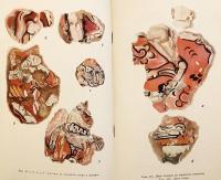 【ロシア語洋書】 古代ホラズム文明の足跡をたどって 『По следам древнехорезмийской цивилизации』