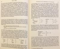 【ドイツ語・ラテン語洋書】 ローマの政務官・歴史家 ガイウス・サッルスティウス・クリスプス『カティリーナの陰謀』 (カティリナ戦記) 『C. Sallustius Crispus, De Catilinae coniuratione』