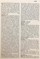 【ドイツ語洋書】 メッツラー言語学辞典 『Metzler Lexikon Sprache』