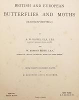 【英語洋書】 イギリス・ヨーロッパの蝶と蛾図鑑：大型鱗翅類 (マクロレピドプテラ) 『British and European Butterflies and Moths : macrolepidoptera』　1895年頃