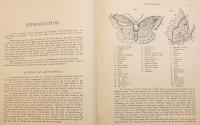 【英語洋書】 イギリス・ヨーロッパの蝶と蛾図鑑：大型鱗翅類 (マクロレピドプテラ) 『British and European Butterflies and Moths : macrolepidoptera』　1895年頃