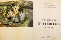 【英語洋書】 蝶と蛾の世界 図鑑 『The world of butterflies and moths』