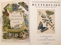 【英語洋書】 蝶, 蛾, その他の昆虫 図譜 『Butterflies, moths and other insects』