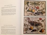 【英語洋書】 蝶, 蛾, その他の昆虫 図譜 『Butterflies, moths and other insects』