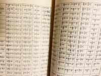 中国書 チベット文 「蔵文文法知識」
