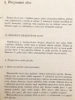 【チェコ語洋書】 標準チェコ語の発音：借用語の発音と発音辞典 『Výslovnost spisovné češtiny : výslovnost slov přejatých, výslovnostní slovník』