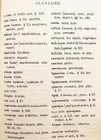【フランス語・スラヴ語洋書】 古代教会スラヴ語 (古代スラヴ語) 入門 『Manuel du vieux Slave』