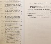 【ドイツ語洋書】 教会の内と外における教会：パウル・ティリッヒ神学における教会論 『Kirche innerhalb und ausserhalb der Kirchen : der Kirchenbegriff in der Theologie Paul Tillichs』