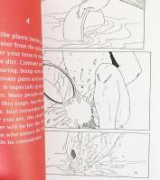 英語洋書　How To Take A Japanese Bath 【日本のお風呂の入り方】