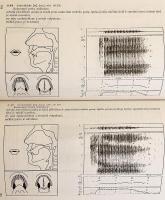 【チェコ語洋書】 チェコ語の音声学と音韻論 『Fonetika a fonologie češtiny s obecným úvodem do problematiky oboru』