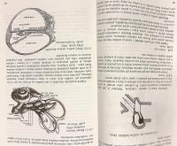 【チェコ語洋書】 チェコ語の音声学と音韻論 『Fonetika a fonologie češtiny s obecným úvodem do problematiky oboru』