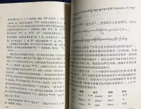 中文書 蔵語簡志 (チベット語概説)【中国少数民族語言簡志叢書】