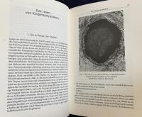 ドイツ語洋書 読書の歴史：起源からグーテンベルクまで 【Geschichte des Lesens: Von den Anfängen bis Gutenberg】