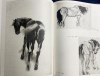 徐悲鴻画集 素描部分：人体・速写・動物・風景