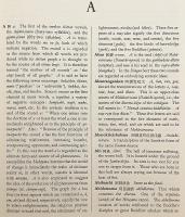 日英仏教辞典 = Japanese-English Buddhist dictionary
