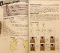 【全2冊揃い】 関節機能解剖学に基づく整形外科運動療法ナビゲーション
