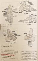 歩行を診る : 観察から始める理学療法実践
