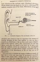 【英語洋書】 音響音声学概論 『Elements of acoustic phonetics』