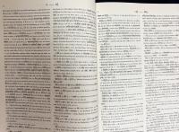 【梵独辞典 全11冊揃】サンスクリット語大辞典 全7巻・簡約版 全3巻・簡約版補遺 全1巻 (Sanskrit-Wörterbuch)　　