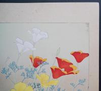 土屋楽山 木版画 洋草花譜『Eschscholtzia Californica(エスコルジア カリフォルニカ)』