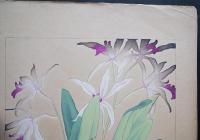 土屋楽山 木版画 洋草花譜『Cattleya(カトレア)/Dendrobium speciosum(デンドロビューム・スペシオサム)』