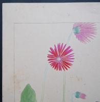 土屋楽山 木版画 洋草花譜『Gerbera(ゼルベラ)』