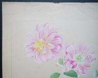 土屋楽山 木版画 洋草花譜『Dahlia(ダリア) 2』