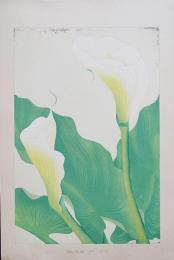 土屋楽山 木版画 洋草花譜『Callalily(カラーリリー)』