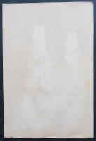 土屋楽山 木版画 洋草花譜『Lupinus polyphyllus(ルピヌス・ポリフィラス)』