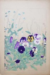 土屋楽山 木版画 洋草花譜『Pansy(パンジー)/ Myosotis(ミヨソチス)』
