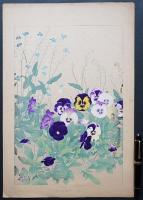 土屋楽山 木版画 洋草花譜『Pansy(パンジー)/ Myosotis(ミヨソチス)』