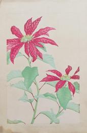 土屋楽山 木版画 洋草花譜 『Poinsettia(ポインセッチア)』