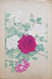 土屋楽山 木版画 洋草花譜 『Rose(ローズ)』