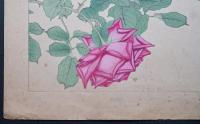 土屋楽山 木版画 洋草花譜 『Rose(ローズ)』