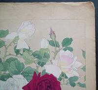 土屋楽山 木版画 洋草花譜 『Rose(ローズ)』