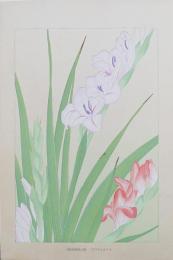 土屋楽山 木版画 洋草花譜 『Gladiolus(グラディオラス)』