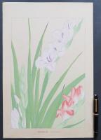 土屋楽山 木版画 洋草花譜 『Gladiolus(グラディオラス)』