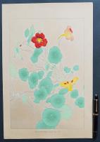 土屋楽山 木版画 洋草花譜 『Nasturtium(ナスターチューム)』